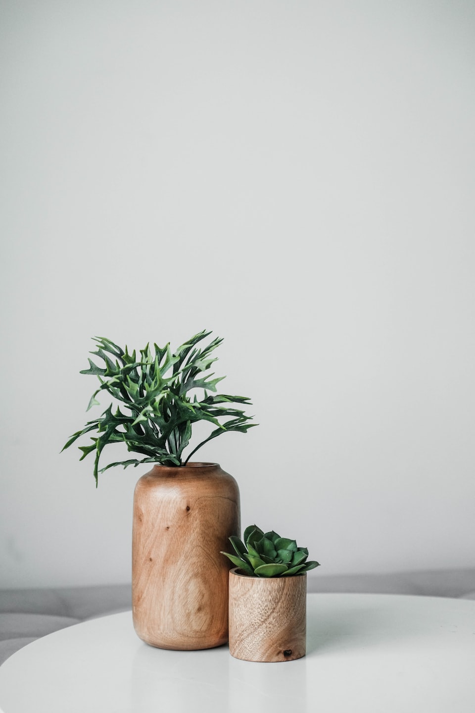 Contact Potted succulent plant in a wooden vase on a table against a neutral wall.